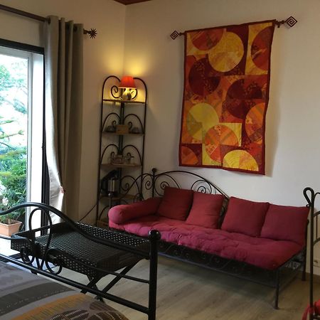Mas Soleil Et Vignes Bed & Breakfast Saint-Hippolyte  Eksteriør bilde